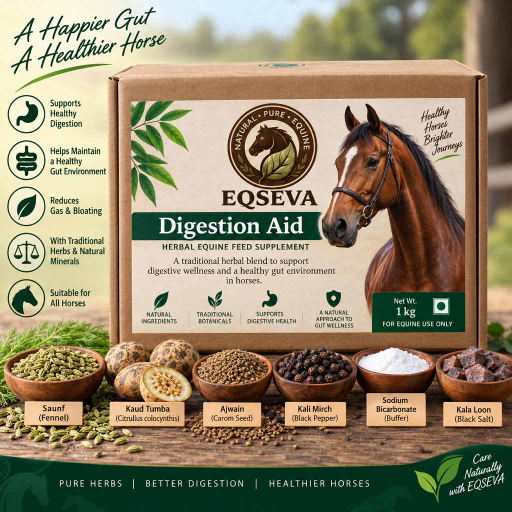 Digestion Aid